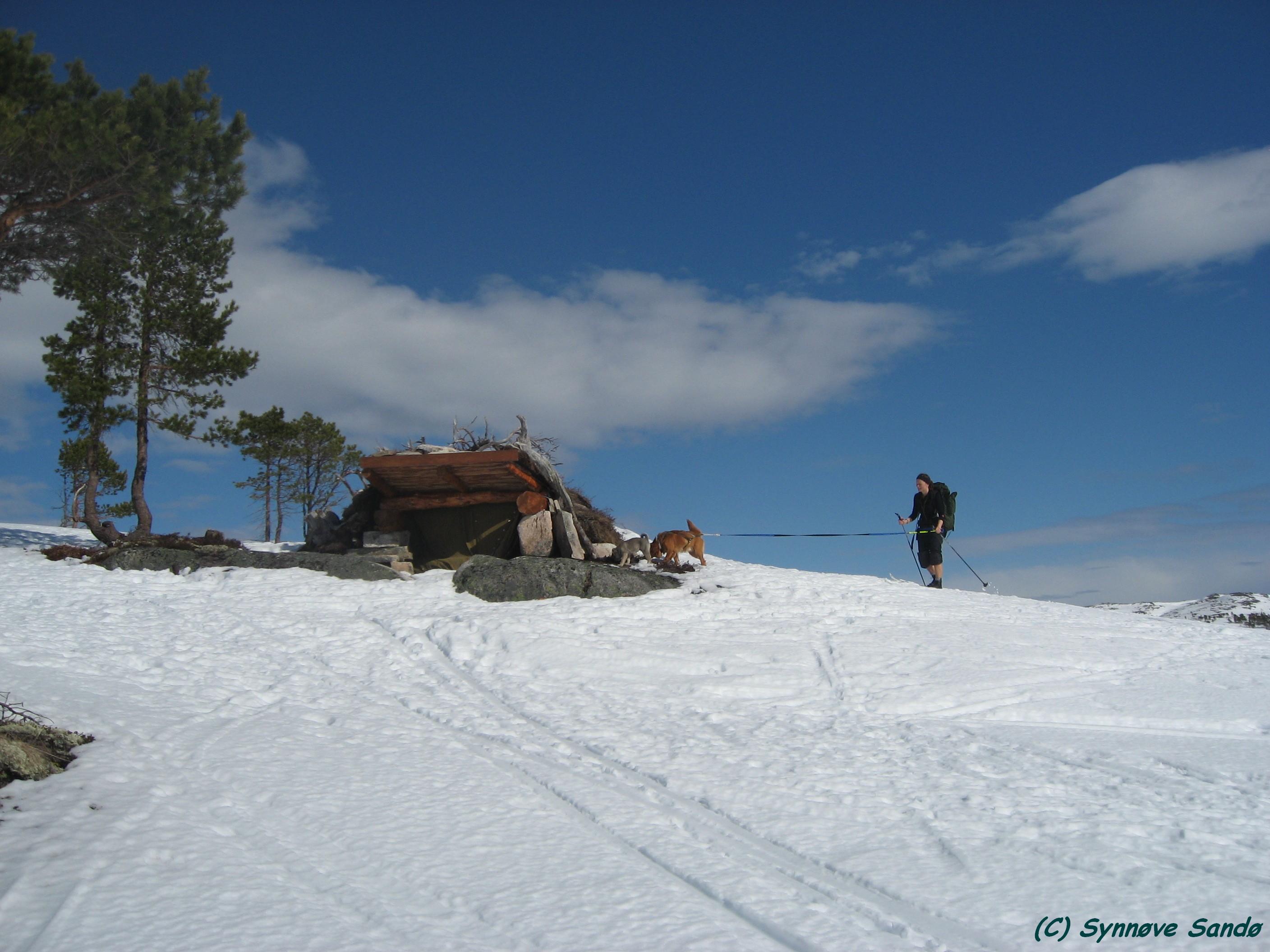 Fort Hjort